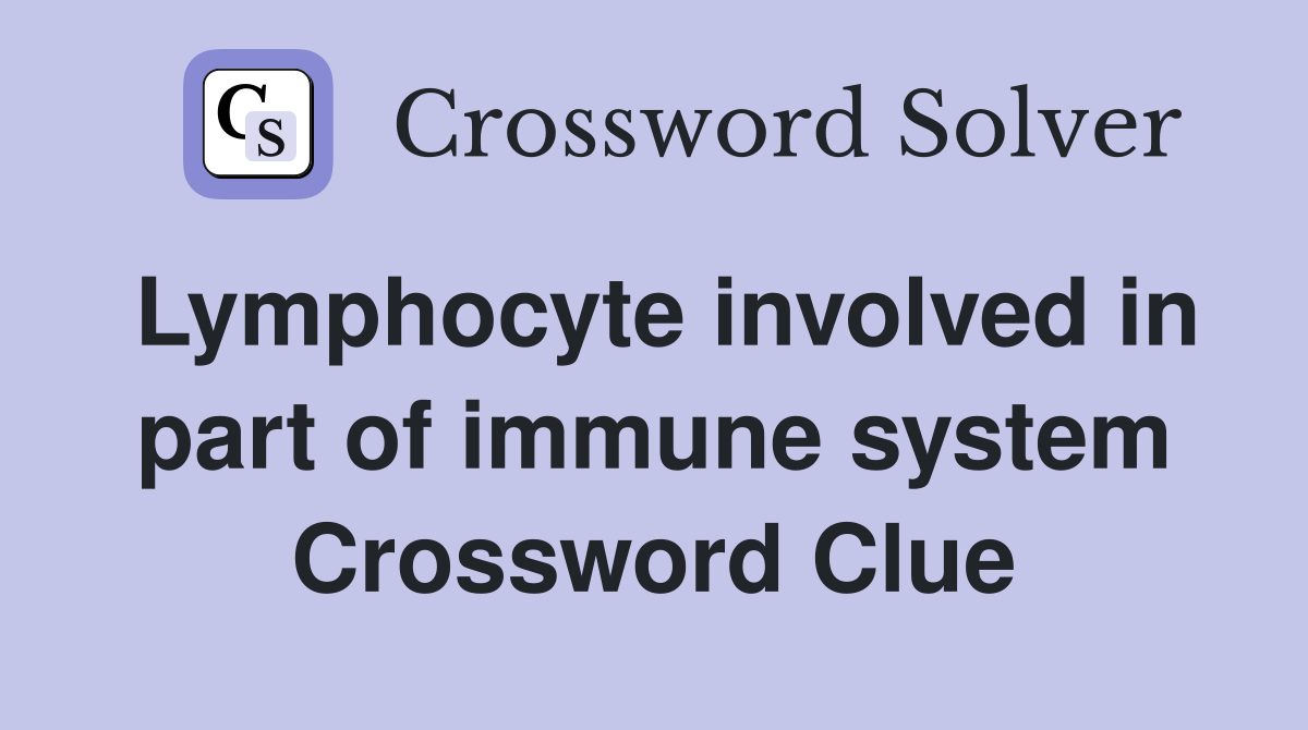Lymphocyte involved in part of immune system Crossword Clue Answers